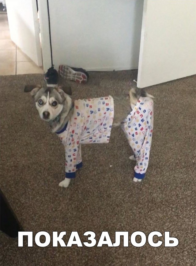 Нестандартный юмор