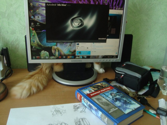 Котовторник 8 мая 2012
