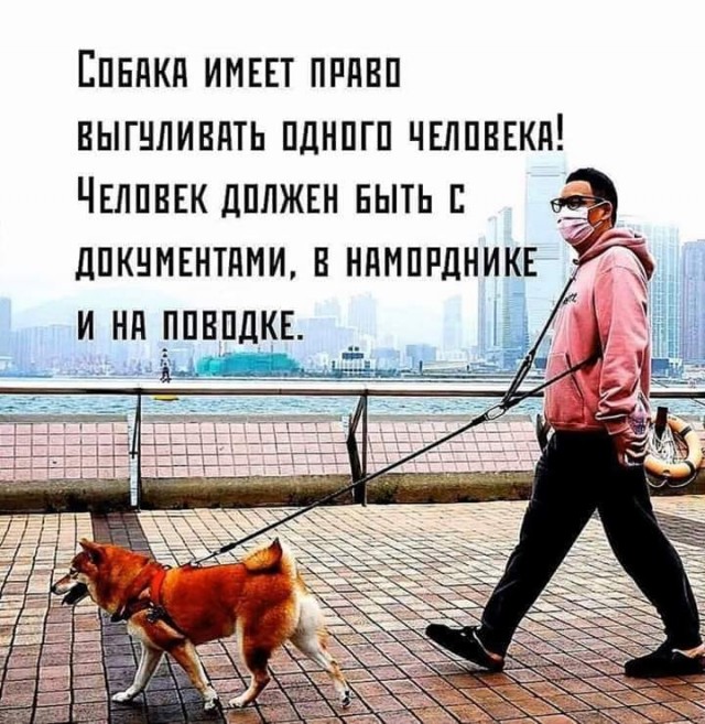 Пара-пара-пам! Фьють! От 15.04.2020