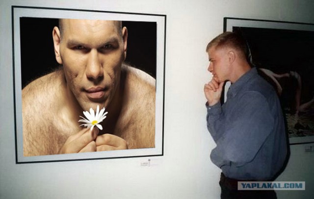 Фотожаба: Молодой ценитель