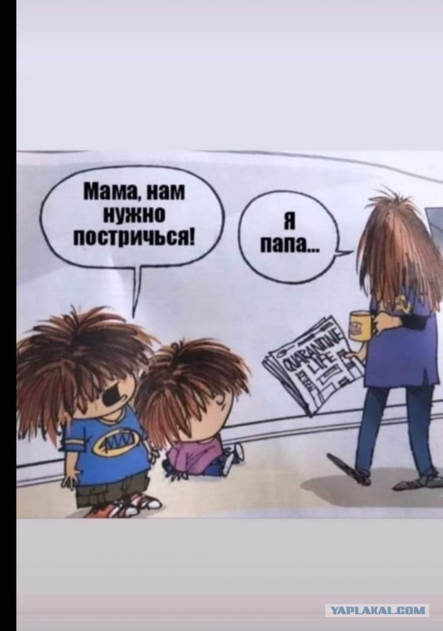 Вот это "птичка" прилетела...