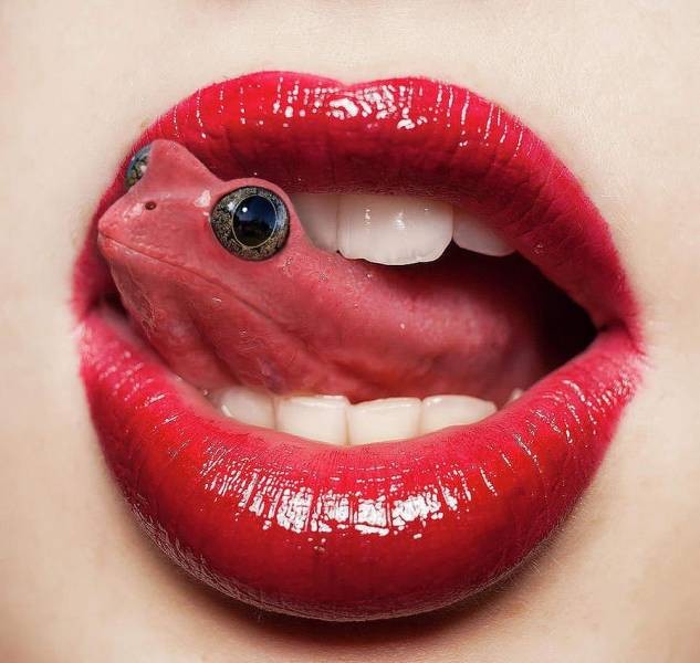 Баянисто-небаянистый юмор. 9.10.20