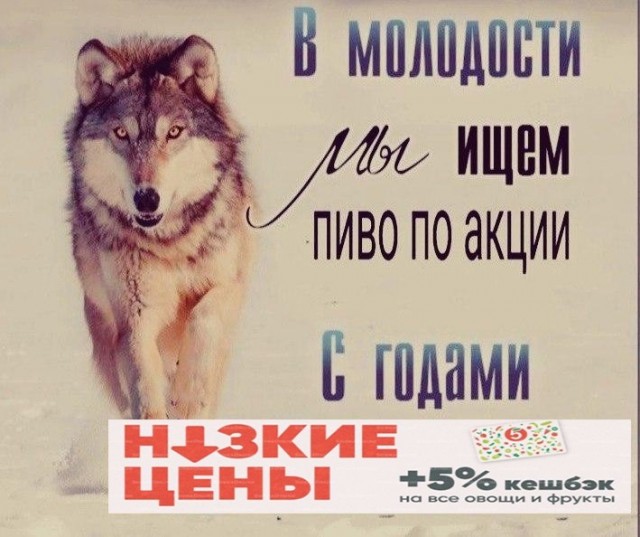 Кретинизмы в джипегах 25.10.20