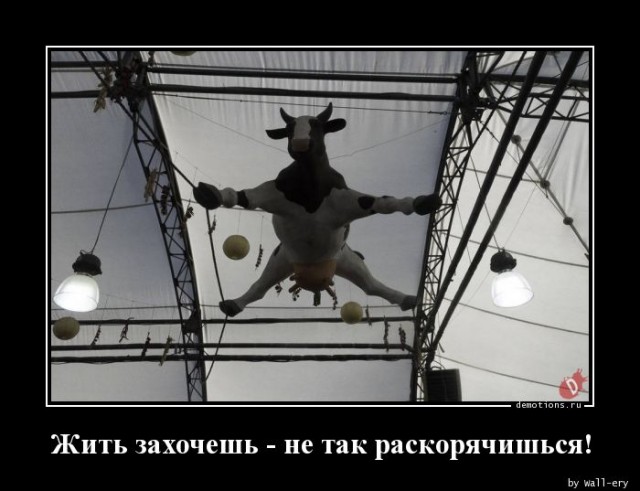 Проглоченный цаплей угорь проделал дыру в ее горле, чтобы вырваться наружу