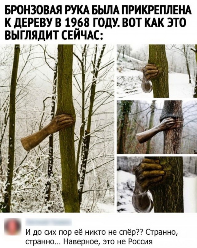 Картинки и мемы для настроения 025