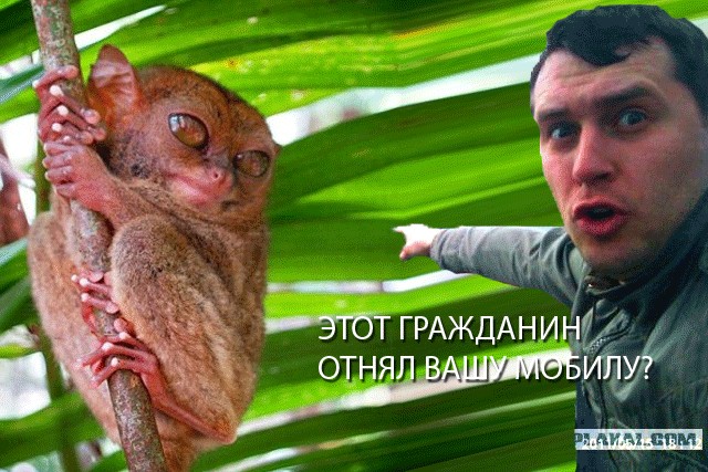 Конкурс фотожабы: Пришельцы среди нас
