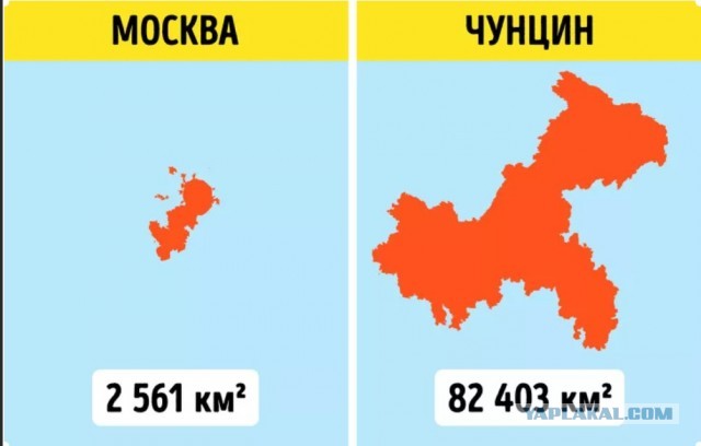 Купил квартиру в новостройке у сада, а через год перед окнами - Северо-Восточной хорды эстакада. Страшный сон жильцов