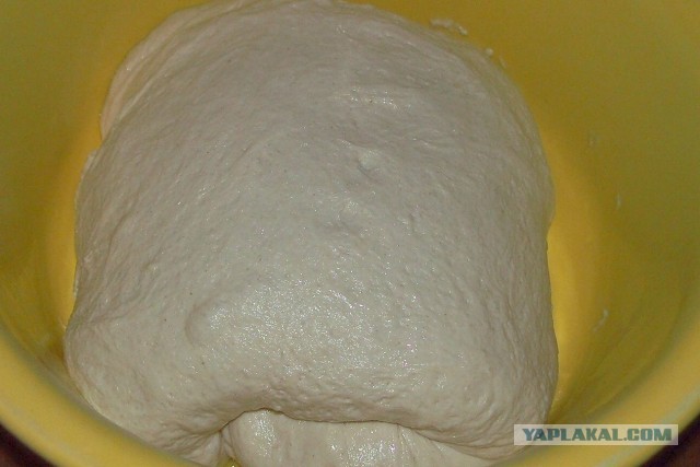 Pane di Matera.(Хлеб из Матеры.)
