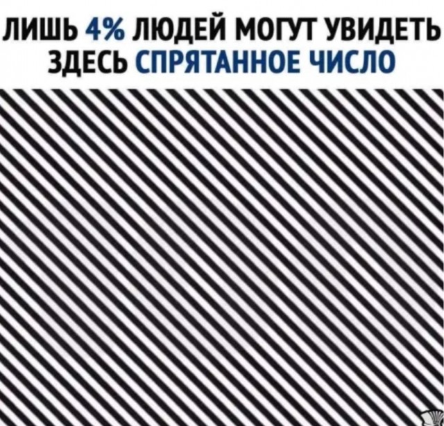Бредзона 21.02.21