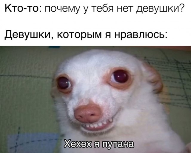 Весёлый полтишок 25.02