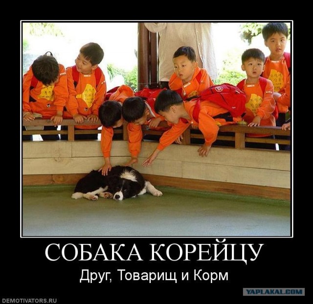 Отпугиватель собак