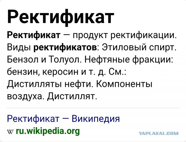 Печальная история одного убеждённого семьянина