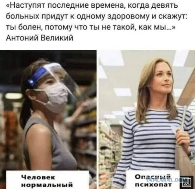Про эти ваши куриные коды