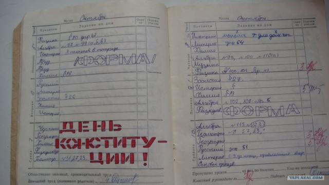 Дневник школьный, обыкновенный