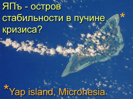 Опрос на ЯПе: Как пережить кризис?