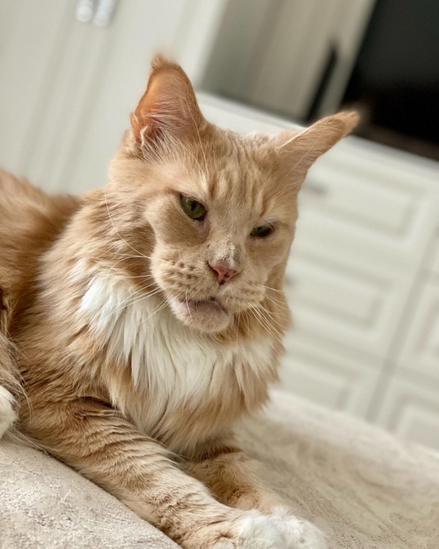 Котовторниковское