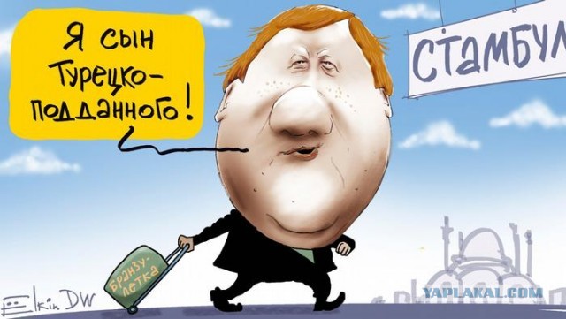 Просто картинки 24.03.2022