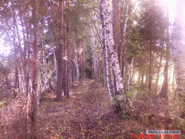 Костромская Аномальная Зона