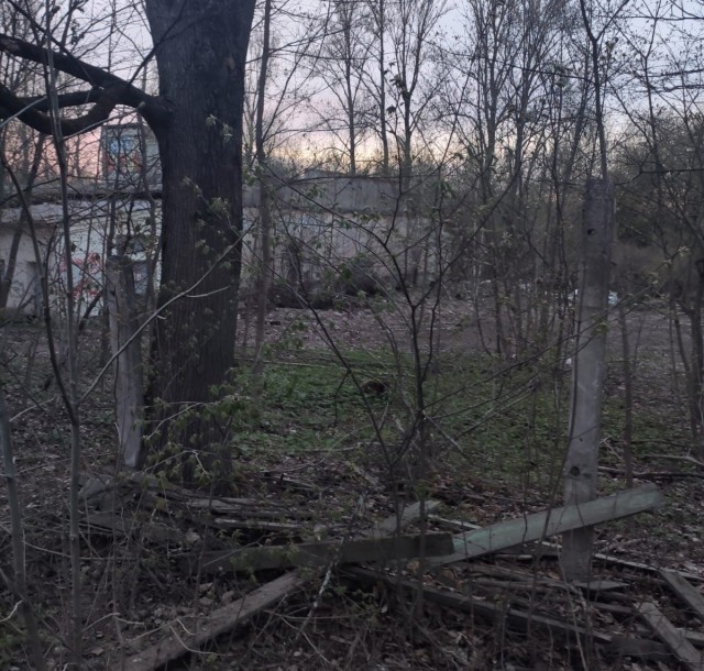 Ловушка для лисёнка