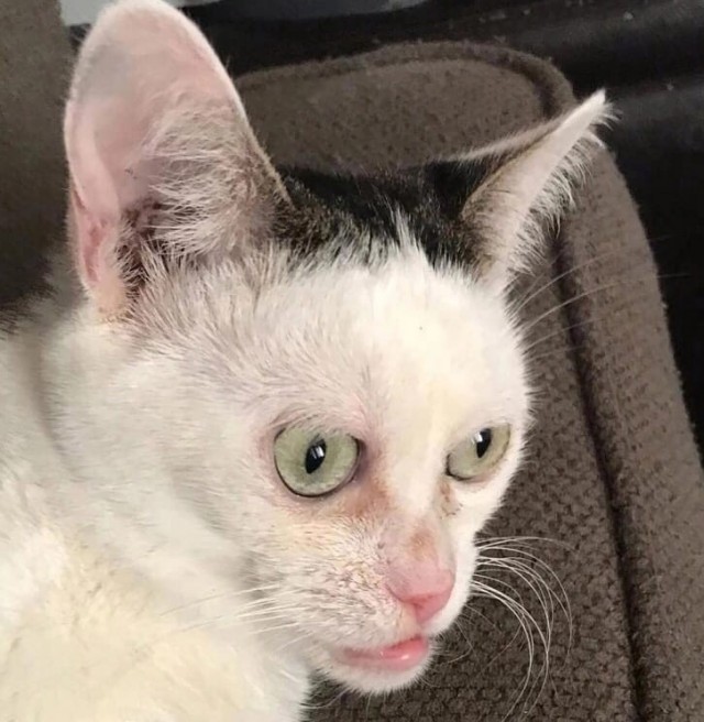 Что-то тут не так