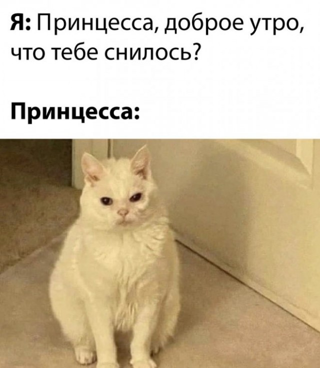 Немного картинок для настроения - 127