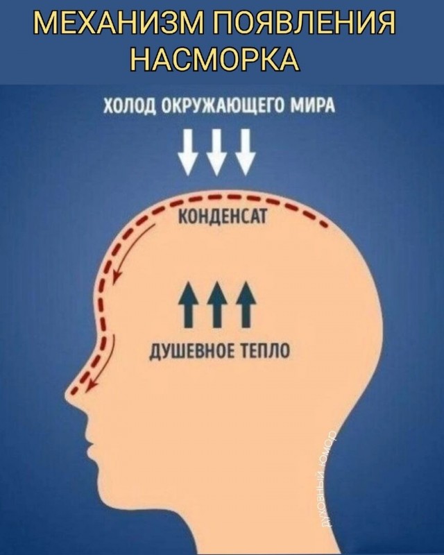 Юмор в картинках и без