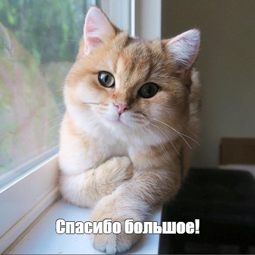 А вы благодарите своих мужчин?