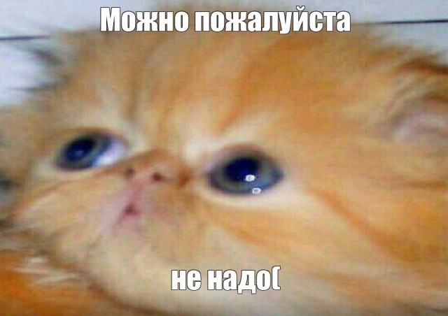 Сзади пионерка - спереди пенсионерка