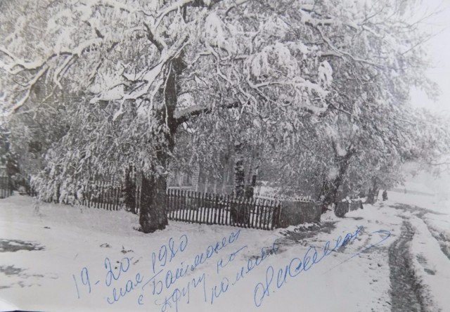 Климатический Сбой 1978 года