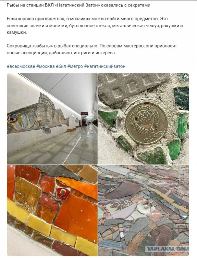 16 находчивых скрытых деталей и забавных «пасхалок», найденных людьми в реальной жизни