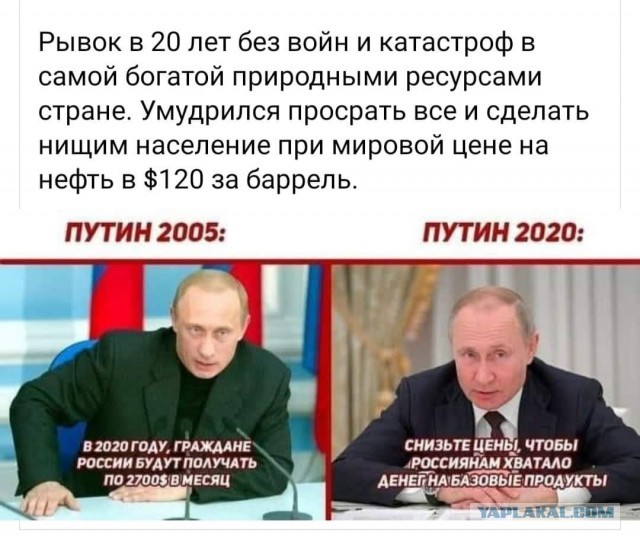 В России предупредили о возможных проблемах с мясом птицы
