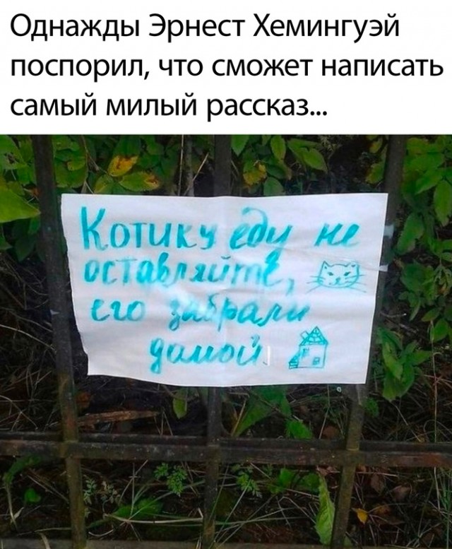 Картинки и мемы для настроения - 181