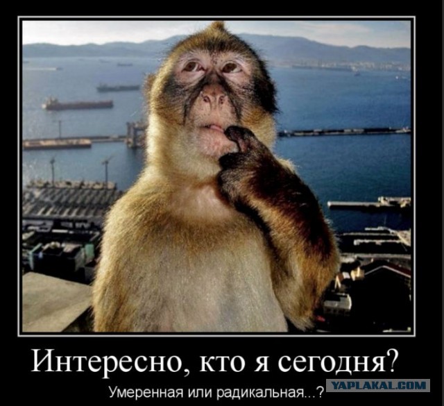Всё ближе