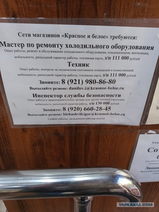 Поиск работников выходит на новый уровень. Теперь оклеивают остановки и подъезды