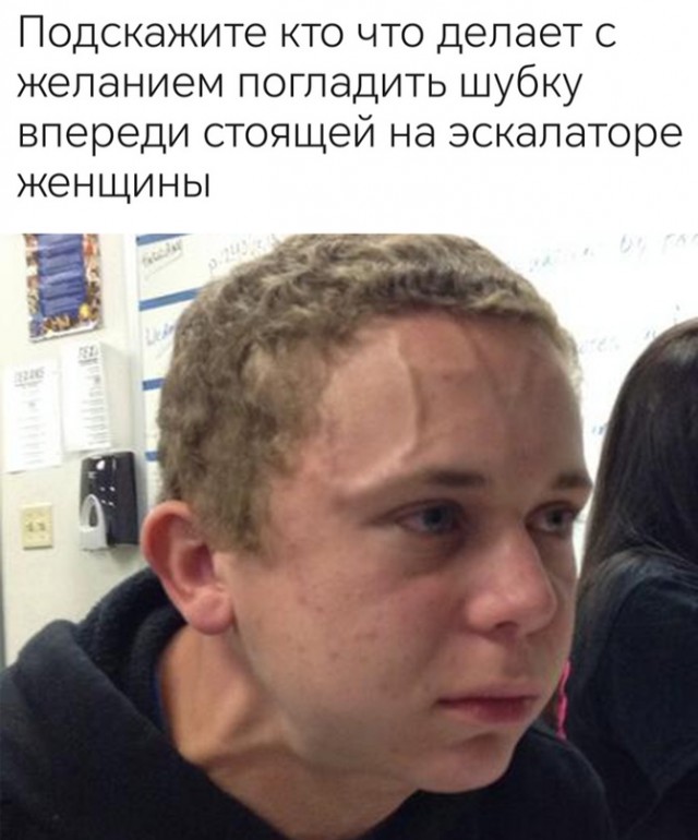 Весёлый полтишок 12.11.23