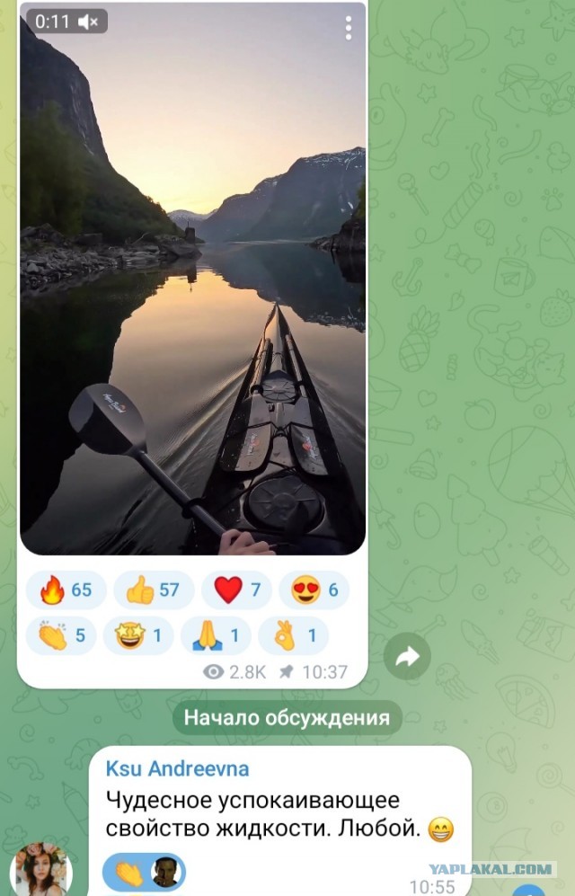 Отряд быстрого деградирования №21