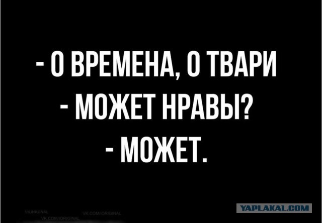 «Лучше такая простая и хозяйственная жена»