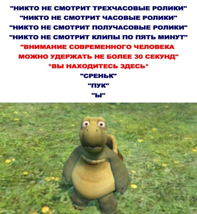 Весёлый полтишок 23.01.24
