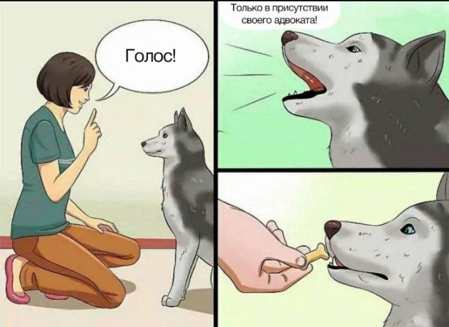 Всего понемногу. От 25.02.24