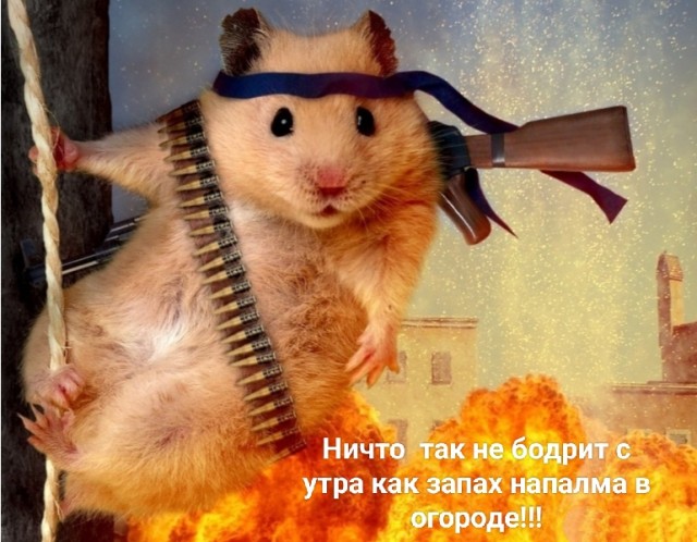 А вы говорите страшнее кошки зверя нет