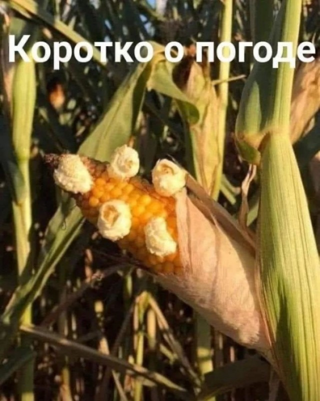 Как у вас там с погодой?