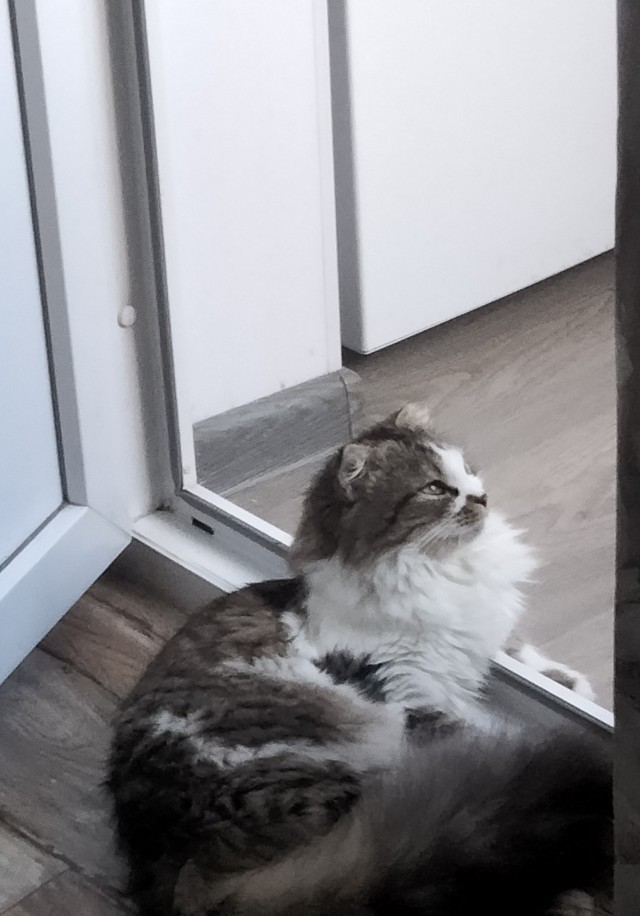 За душу взяло