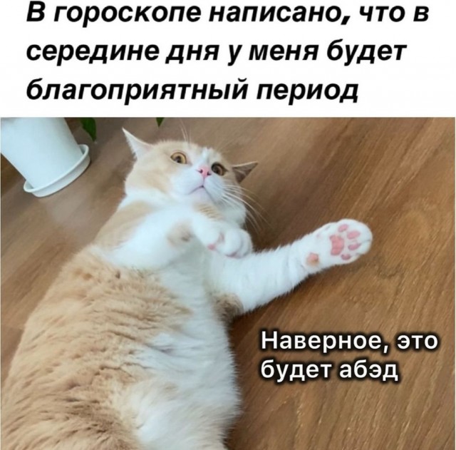 Быстрая деградация