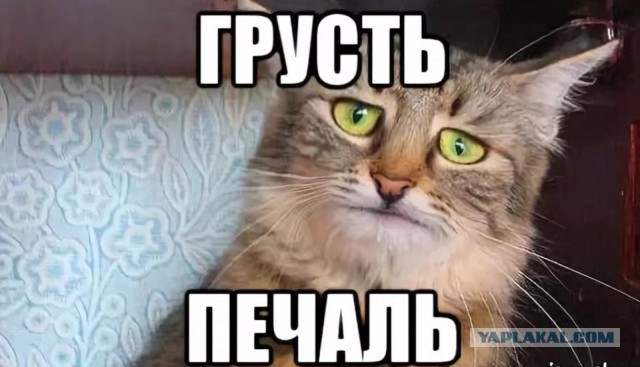 Самые скандальные наряды корейских актрис