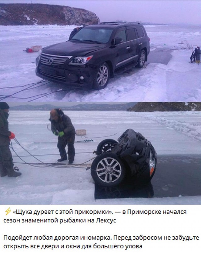 Всего понемногу. От 10.01.2025