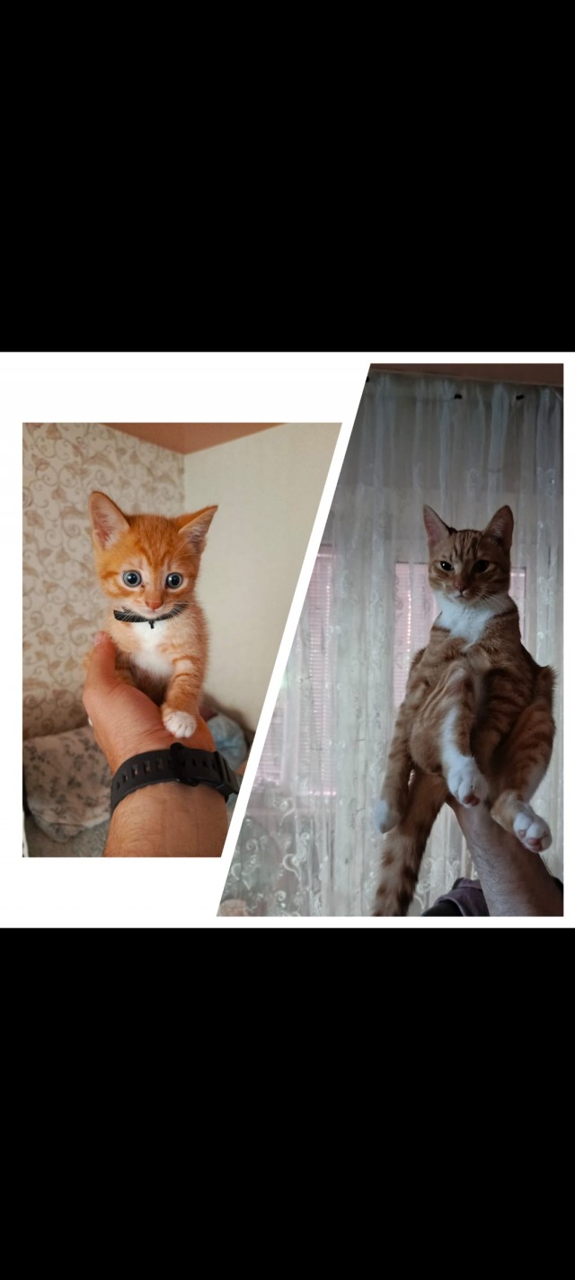 Было — Стало