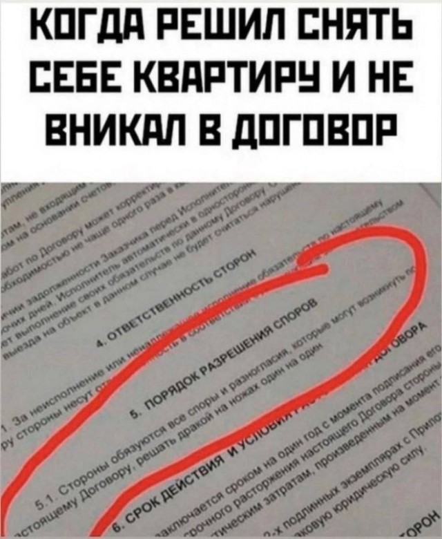 Веселые картинки в понедельник (24.02)