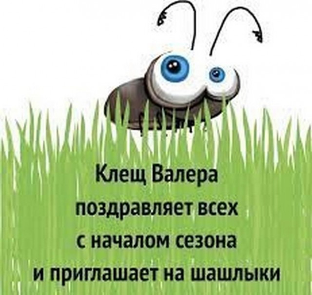 Маленькая пятница 9.04.25