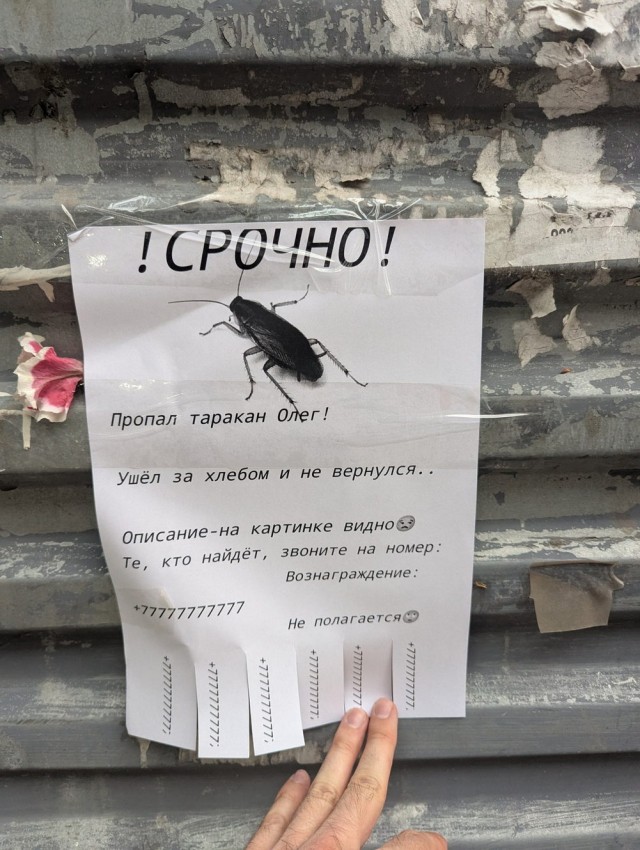 Веселые картинки в маленькую пятницу (28.05)