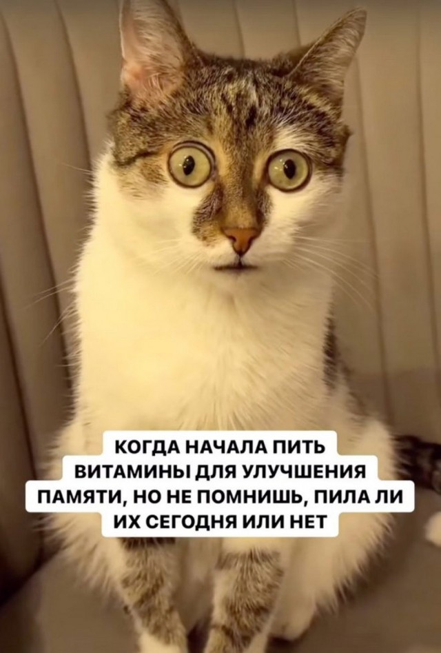 Пятничные бояны